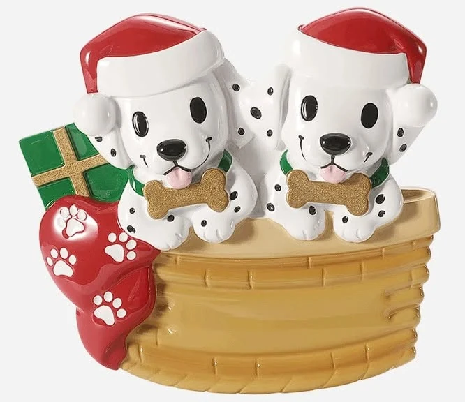 Dalmatian Puppy Family